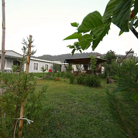 Апартаменты Feryal Apart Inlice-fethiye *